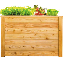 Jardinière en bois avec salade et radis