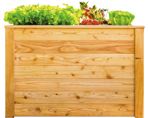 Jardinière en bois avec salade et radis