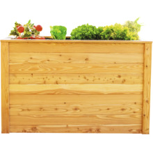 Jardinière surélevée en bois plantée de tomates et de salades