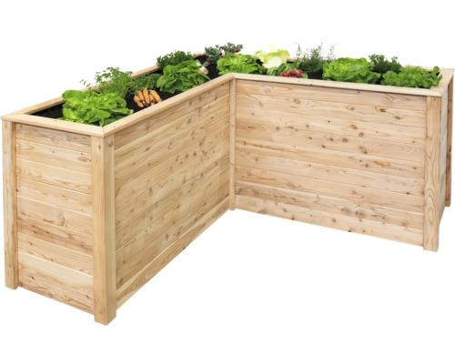 Jardinière surélevée en bois avec laitue et légumes