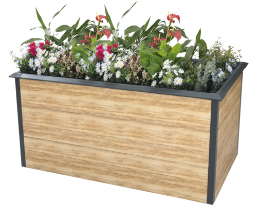 Jardinière surélevée classique WESTMANN Primus-Multi avec protection contre les escargots Taille L 150 x 75 x 77 cm aspect bois Jardinière couleur bois avec diverses fleurs
