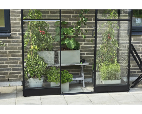 Serre avec différentes plantes en pots