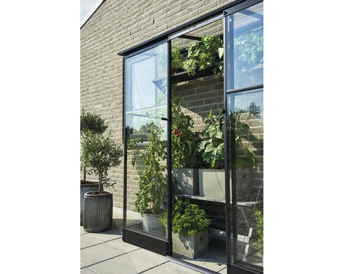 Serre avec des plantes sur des étagères et en pot devant un mur en briques