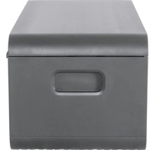 Graue Aufbewahrungsbox aus Kunststoff mit Deckel und Griff