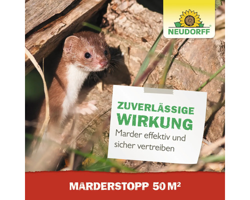 Anti-martre Neudorff MarderStopp ultrasons 1 pce. 50 m²