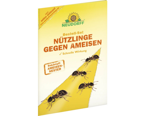 Dispositif anti-fourmis Neudorff set de commande insectes utiles contre les fourmis, lutte contre les fourmilières à l'aide de nématodes