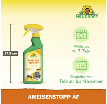 Neudorff AmeisenStopp AF, flacon pulvérisateur de 27,5 cm pour lutter contre les fourmis
