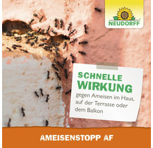 Colonie de fourmis sur un mur de maison avec la mention : Action rapide contre les fourmis dans la maison, sur la terrasse ou le balcon. Logo Neudorff.