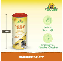 Neudorff AmeisenStopp, 16 Zentimeter hoch, zur Ameisenbekämpfung