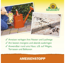 Neudorff AmeisenStopp Produktanwendung im Garten mit Gießkanne und Ameisenbefall