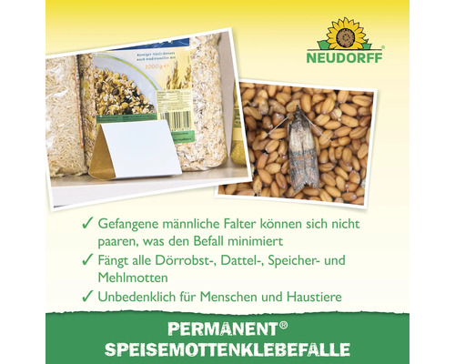 Piège à mites alimentaires Permanent avec mites alimentaires dans les céréales et logo Neudorff