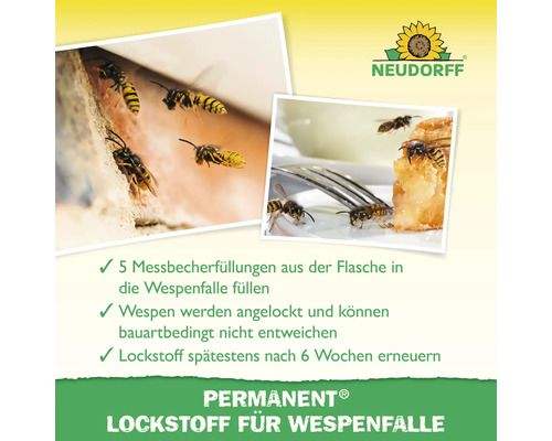 Illustration de l''application de l''attractif pour pièges à guêpes Neudorff avec des guêpes sur une maison et sur une assiette de nourriture. Logo Neudorff.