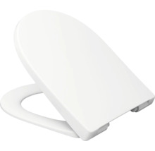 Toilettendeckel aus Kunststoff