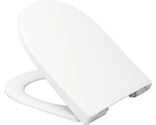 Toilettendeckel aus Kunststoff