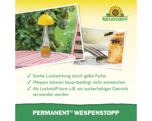 Permanent Wespenstopp Wespenfalle mit gelbem Deckel und Wespen auf einem Teller
