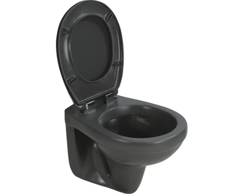 Wand-Tiefspül-WC mit offenem Spülrand und WC-Sitz