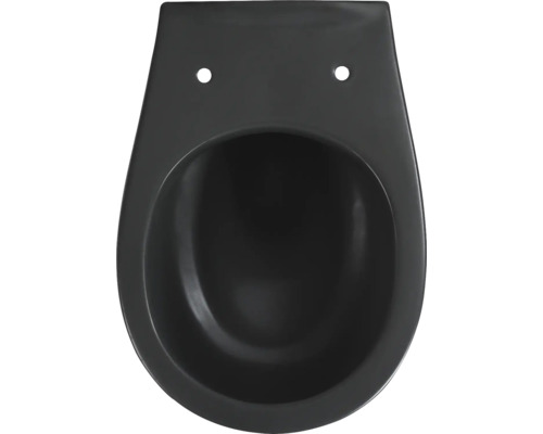 Dunkles Tiefspül-WC aus Keramik für die Wandmontage