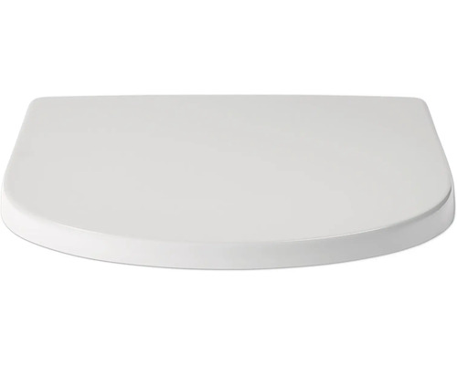 Toilettendeckel in D-Form