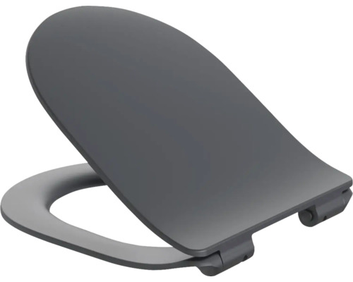 Abattant WC gris en plastique