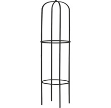 Support à plantes en métal pour le jardin