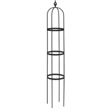 Pflanzkletterhilfe aus Metall für den Garten