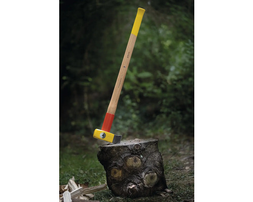 Hache à fendre sur une souche d''arbre