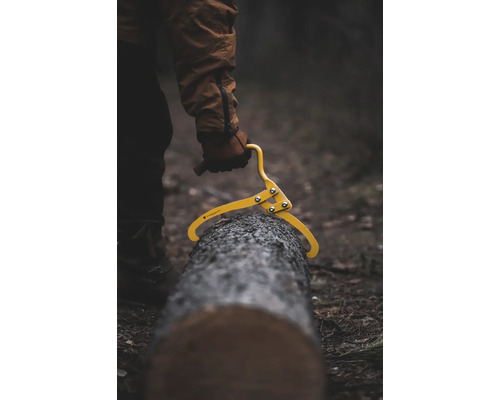 Holzzange im Einsatz zum Heben eines Baumstammes