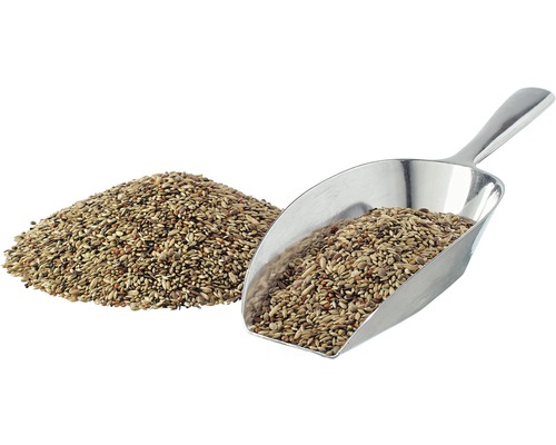 Nourriture pour oiseaux avec pelle