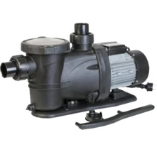 Pompe de piscine pour bassins