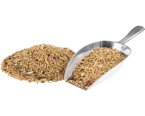 Vogelfutter mit Schaufel