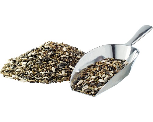 Aliments pour oiseaux avec pelle d''alimentation