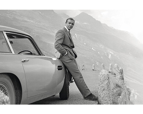 Panneau décoratif James Bond 007 60x90 cm