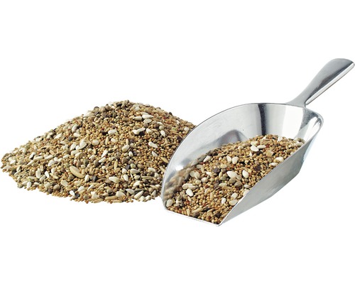 Nourriture pour oiseaux avec pelle