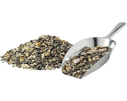 Vogelfutter mit Schaufel