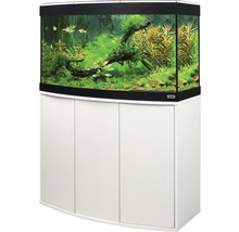 Aquarium mit Unterschrank und Dekoration