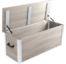 Geöffnete Gartenbox zur Aufbewahrung von Gartengeräten und -möbeln