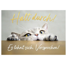 Motivationskarte mit Katze und den Sprüchen Halt durch! Es lohnt sich. Versprochen!