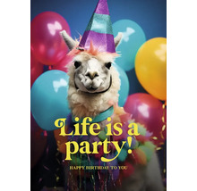 Lama avec chapeau de fête et ballons. Inscription : Life is a party ! Joyeux anniversaire.