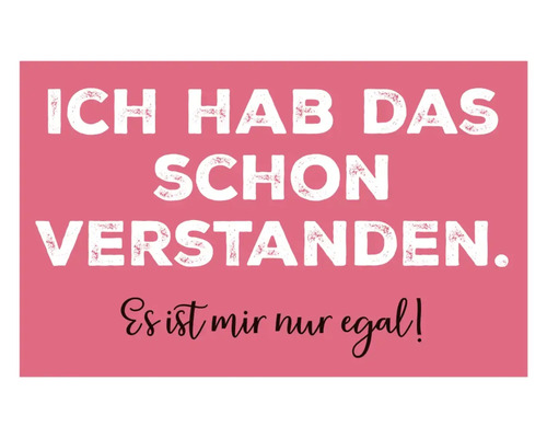 Aimant décoratif Ich hab das schon verstanden. Es ist mir nur egal! 8,5x5,5 cm Affiche avec la phrase : J''ai déjà compris. Je m''en fiche !