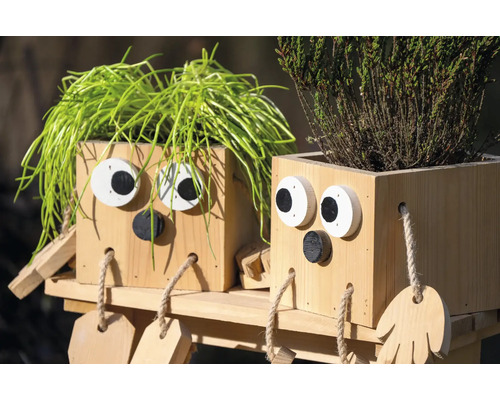 Zwei Pflanzgefäße aus Holz mit Gesicht und Bepflanzung auf einem Regal