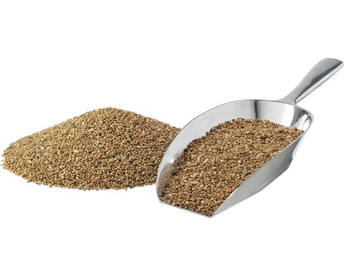 Hirse mit einer Metallschaufel