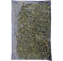 Unité d''emballage de mousse forestière pour la décoration