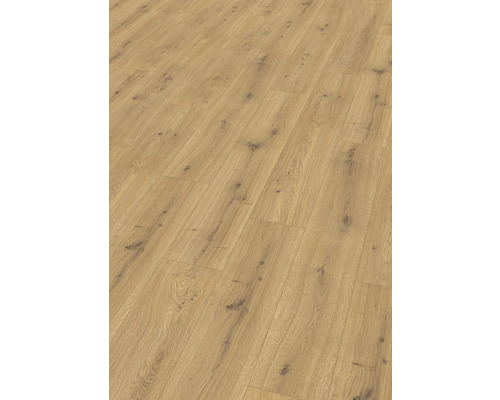 Laminat Nature Sense Predaia Eiche honig Landhausdiele 1292 x 193 x 10 mm Laminat Nature Sense Predaia Eiche honig Landhausdiele 1292 x 193 x 10 mm