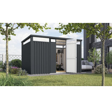 Gartenhaus mit geöffneter Tür und Gartengeräten im Inneren