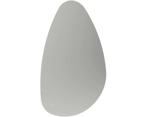 Miroir à LED form&style NAVASSA 120 x 80 cm IP 44 Miroir ovale pour salle de bains