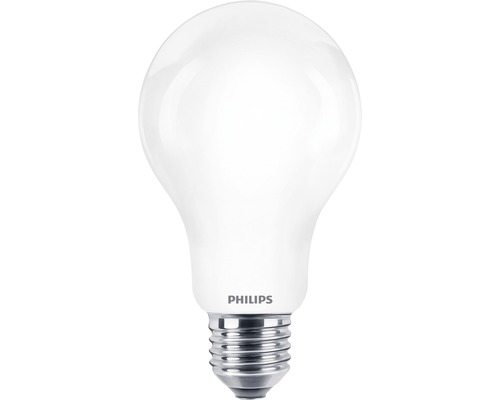 Ampoule LED A67 mat E27/13 W (120 W) 2000 lm 2700 K blanc chaud
