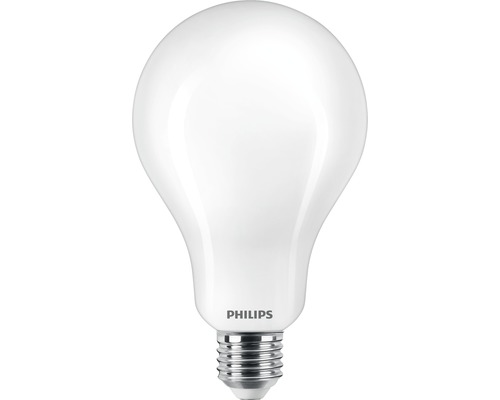 Ampoule LED A95 mat E27/23 W (200 W) 3452 lm 2700 K blanc chaud-0