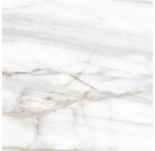 Gros plan d''un carreau de marbre blanc avec un grain fin