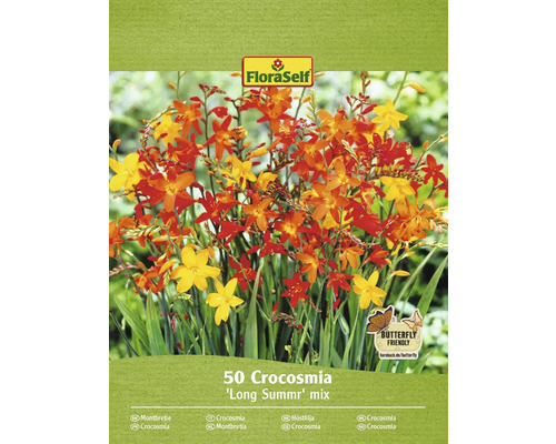 Blumenzwiebel Montbretie, Crocosmia FloraSelf 'Long Summer Mix' 50 Stück