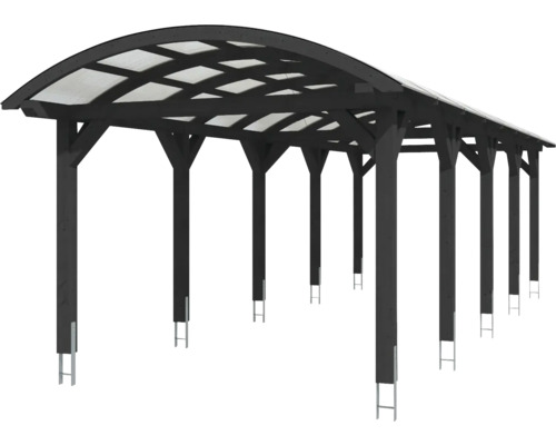 Abri en bois avec toit transparent pour l''extérieur